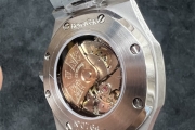 Automatic/Mechanical Watch (APRORDDL) 